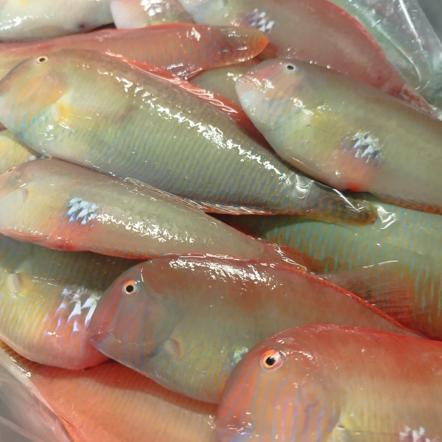 Foto de Albert Juve Martin