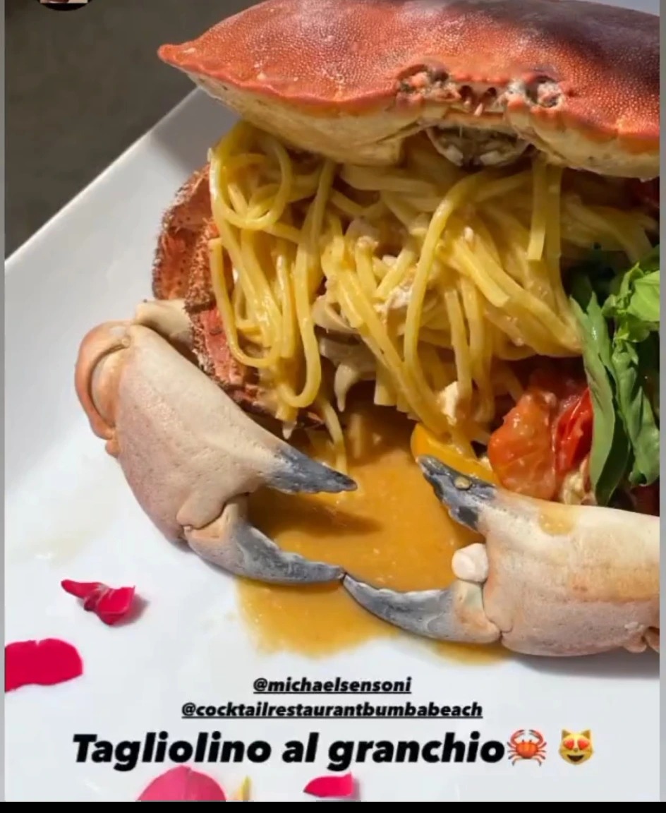 1000083046.jpg 1000083046.jpg