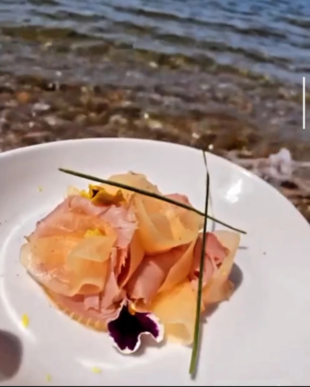 1000083044.jpg 1000083044.jpg