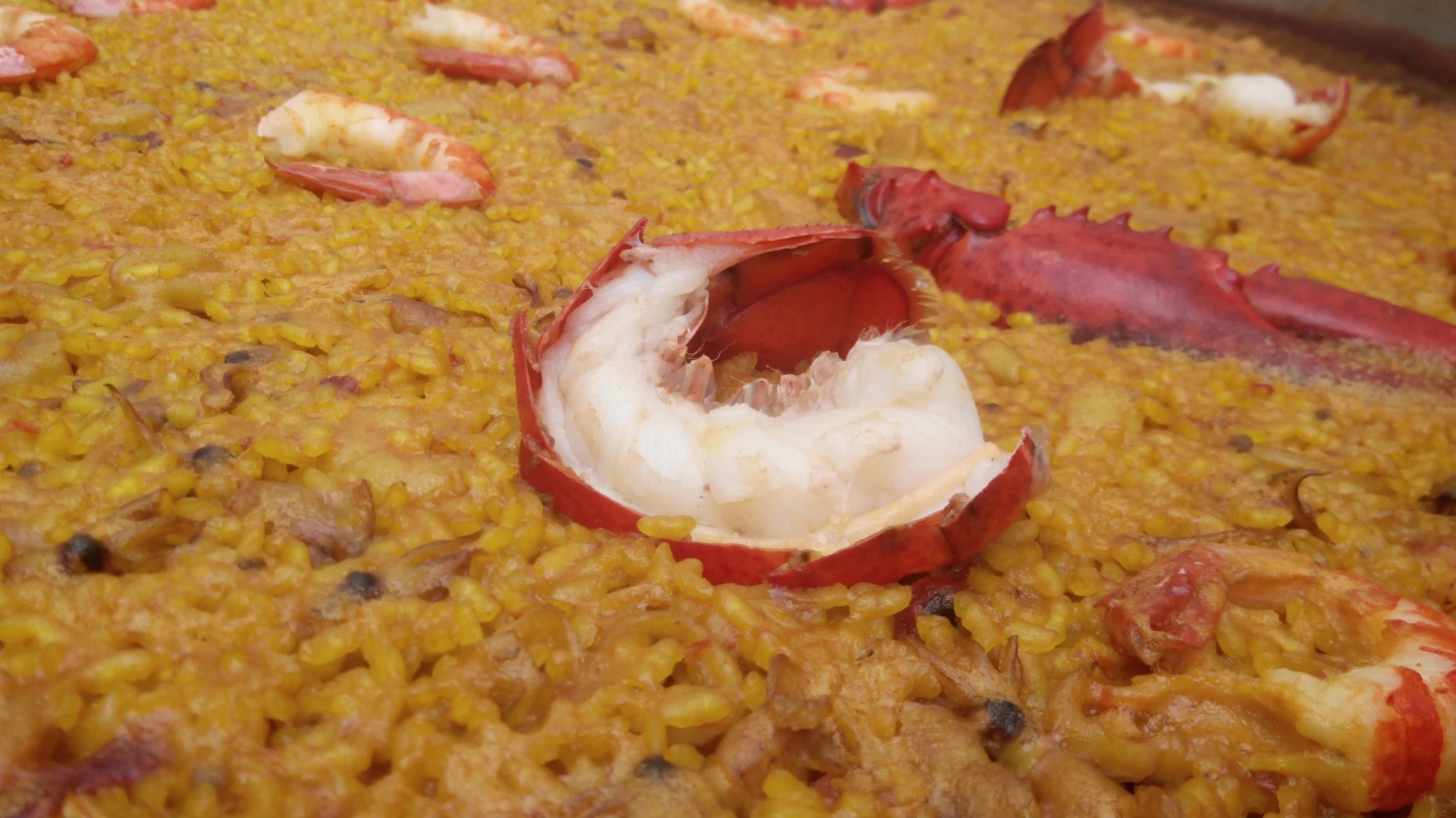 Terreta
