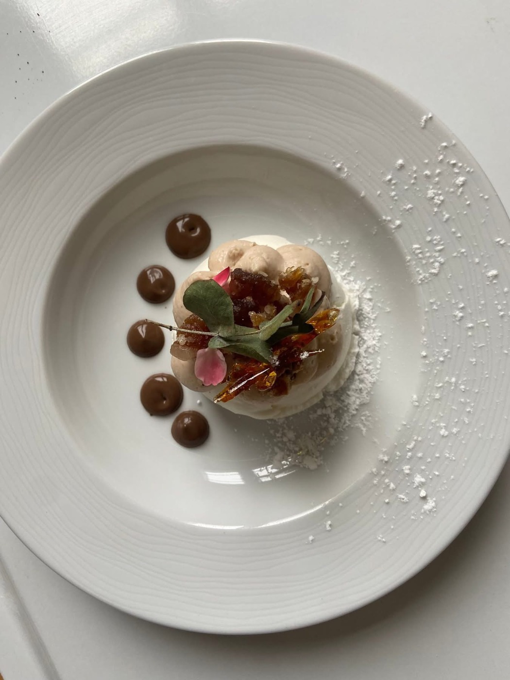 IMG_6343.jpeg IMG_6343.jpeg