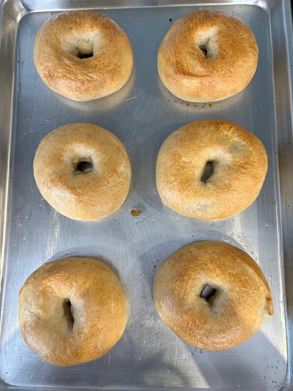 WhatsApp Image 2026-01-20 at 2.40.45 PM.jpeg