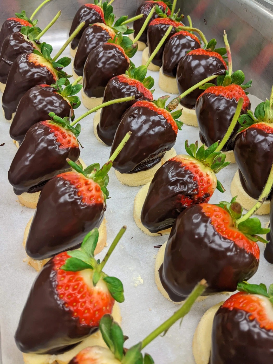 cdb5620d-19c4-4f60-958b-e023f63e07c2-1_all_3132.jpg cdb5620d-19c4-4f60-958b-e023f63e07c2-1_all_3132.jpg