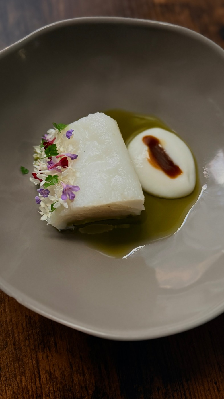 IMG_6945.jpeg IMG_6945.jpeg