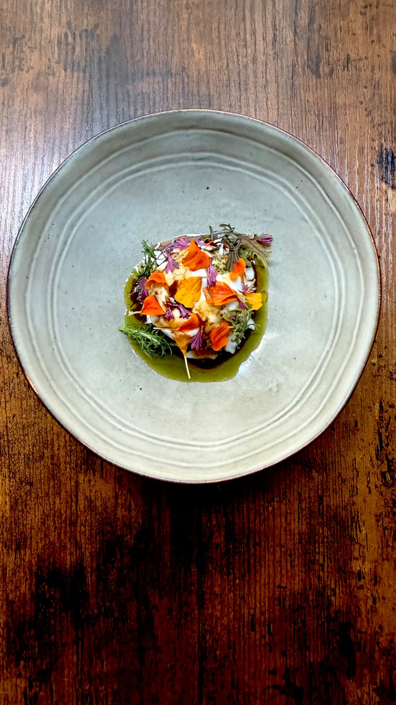 IMG_4798.jpeg IMG_4798.jpeg