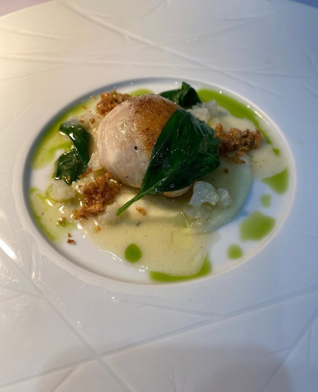 IMG_3876.png IMG_3876.png