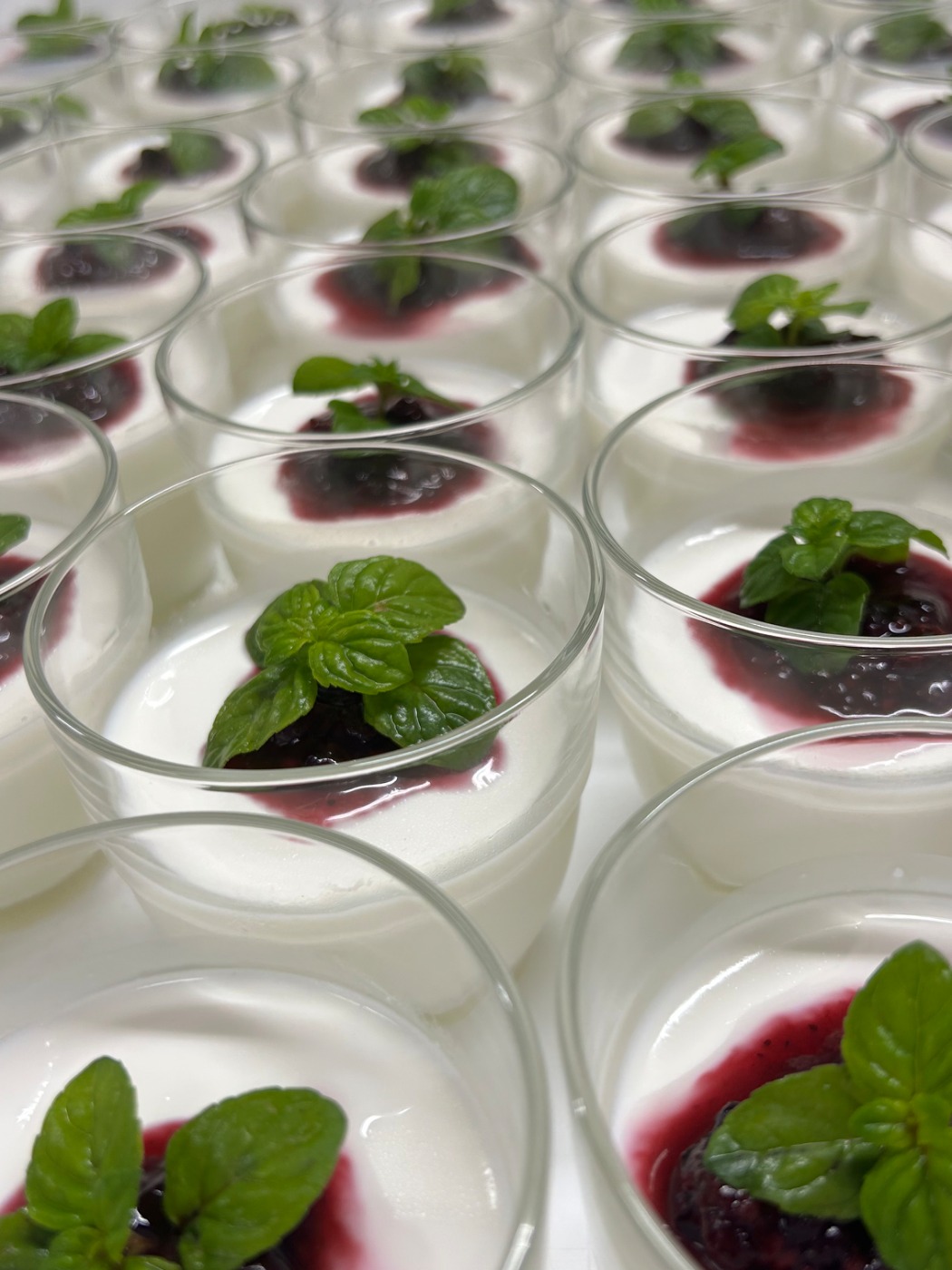 IMG_6048.jpeg IMG_6048.jpeg