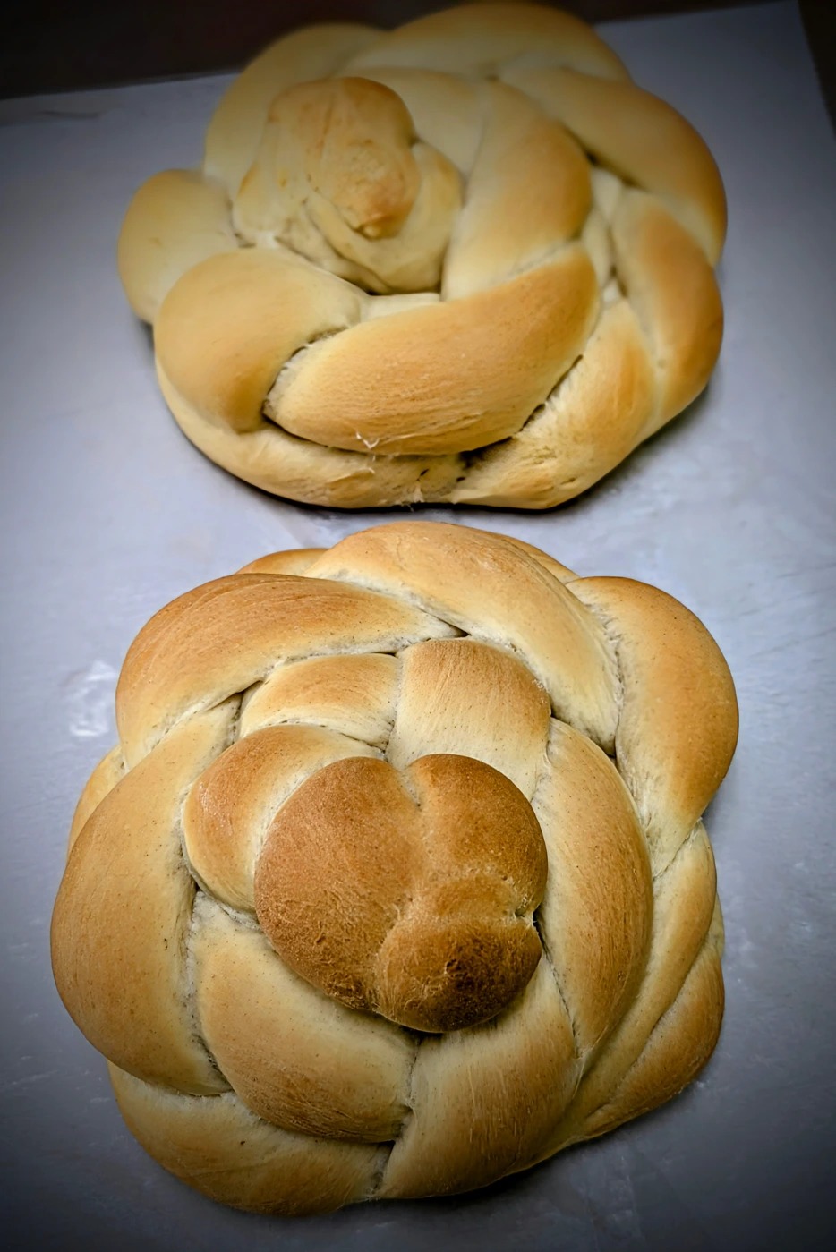 1000204675.jpg 1000204675.jpg