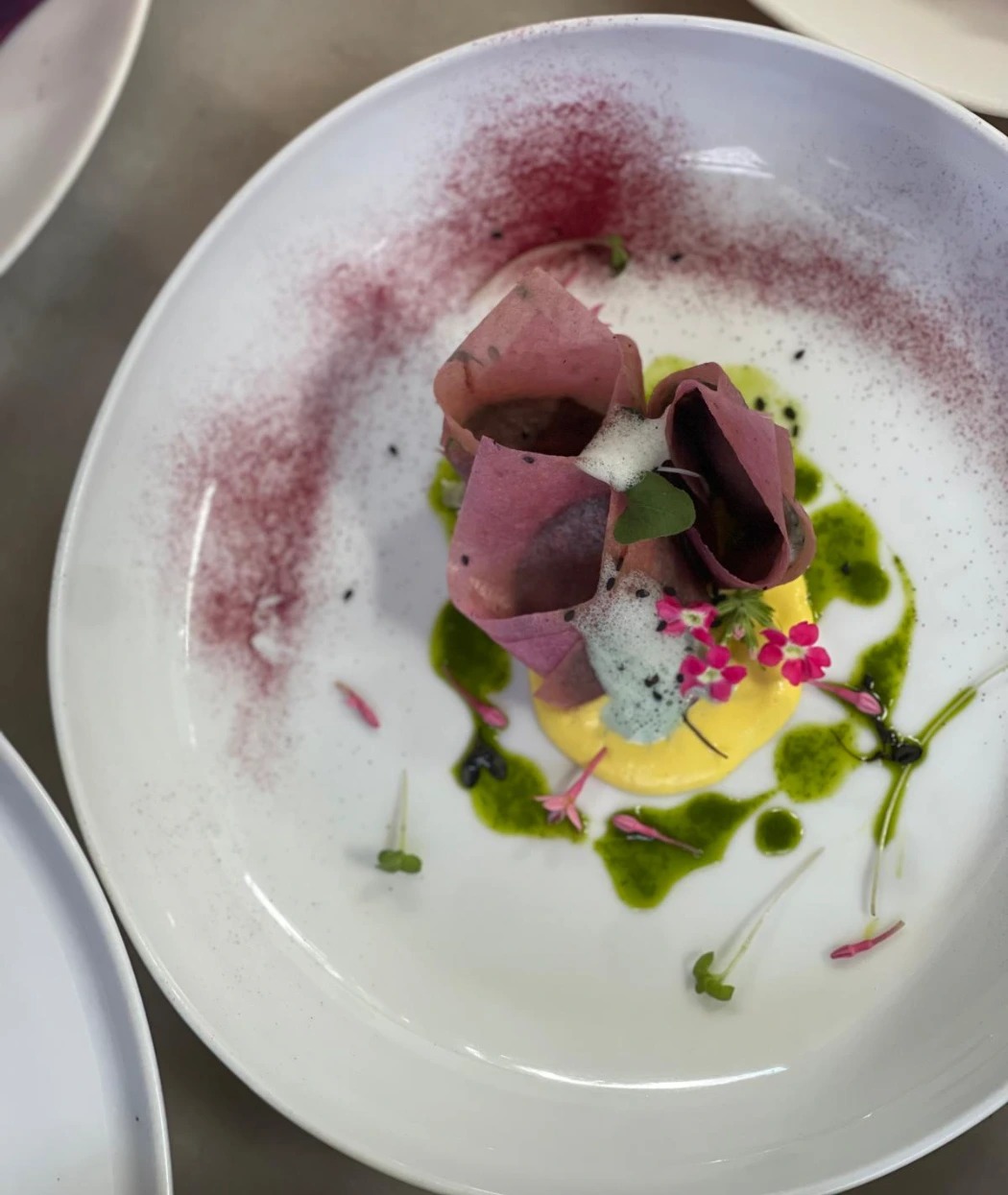 WhatsApp Image 2026-01-06 at 11.23.21 PM.jpeg