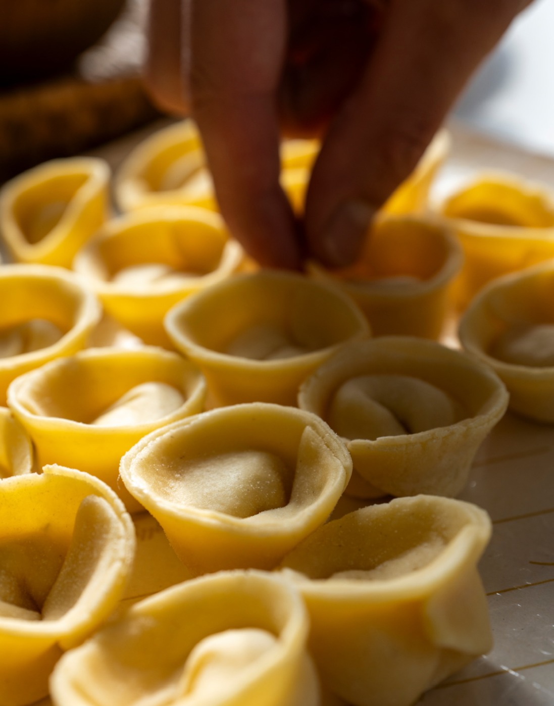 IMG_9994.jpeg IMG_9994.jpeg