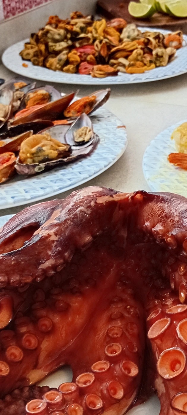 20260111_132803.jpg 20260111_132803.jpg