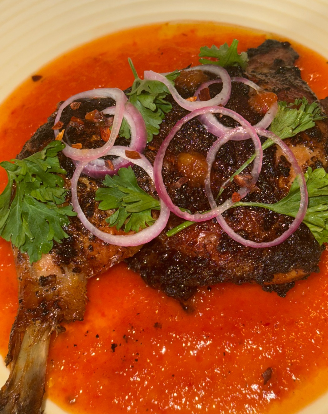 IMG_5397.jpeg IMG_5397.jpeg