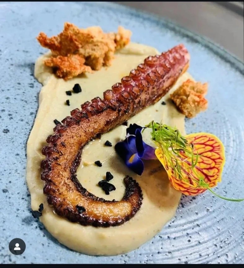 IMG_20250226_134251_464.jpg IMG_20250226_134251_464.jpg