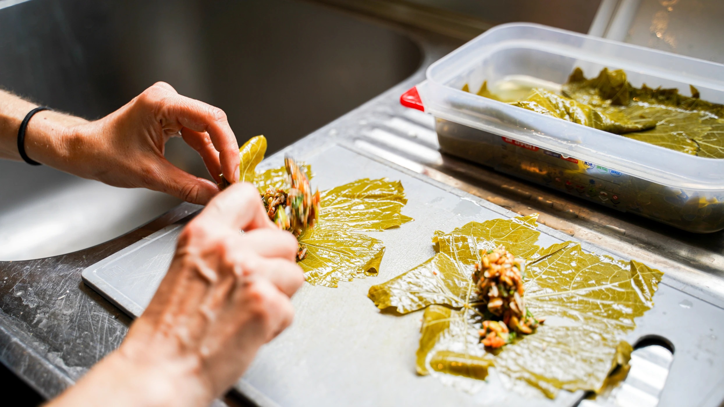 DSC04866.jpg DSC04866.jpg