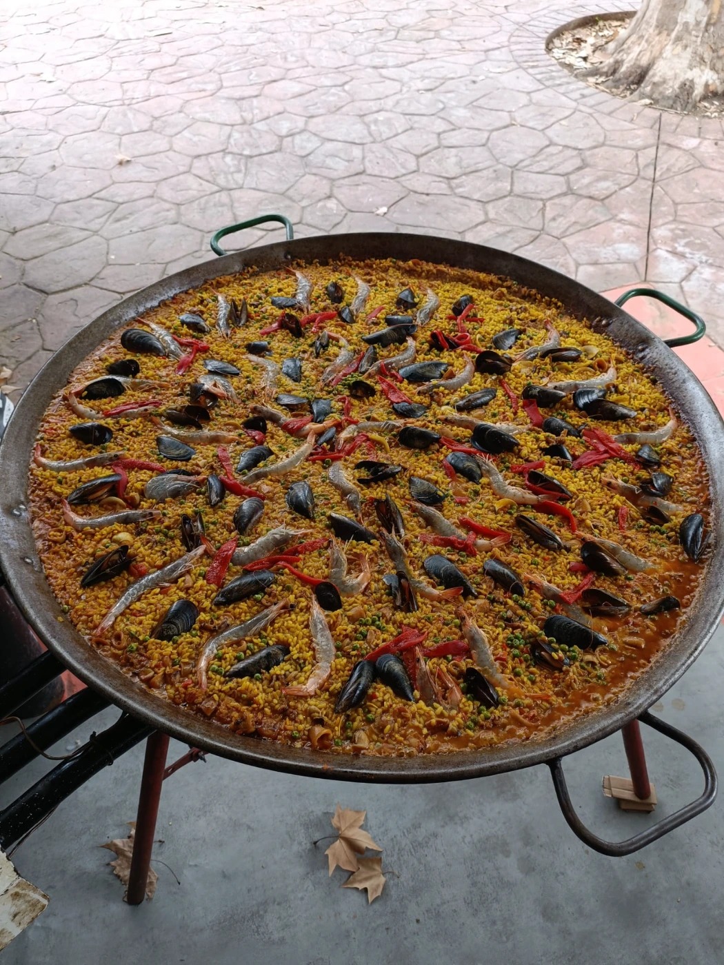 1000030786.jpg 1000030786.jpg