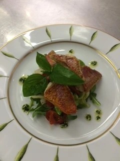 rouget de méditérrannée.png