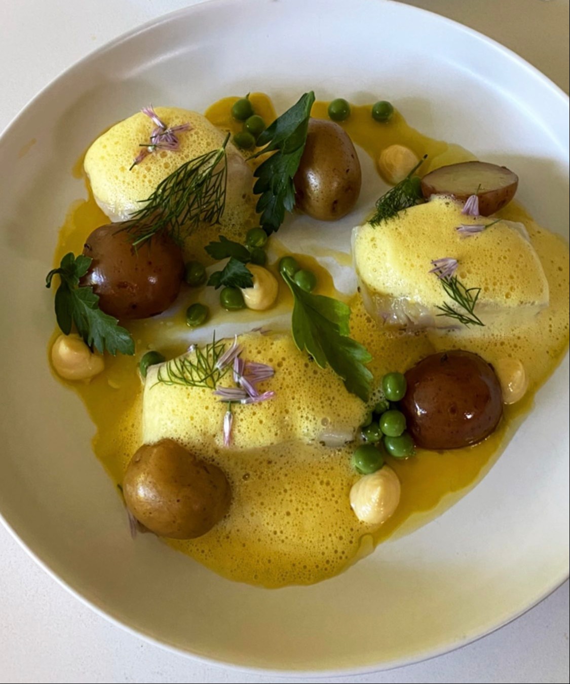 IMG_7293.jpeg IMG_7293.jpeg