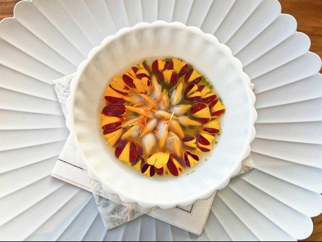 6e171c04-9fad-4a4c-9c36-4362a03bde5a.jpeg 6e171c04-9fad-4a4c-9c36-4362a03bde5a.jpeg