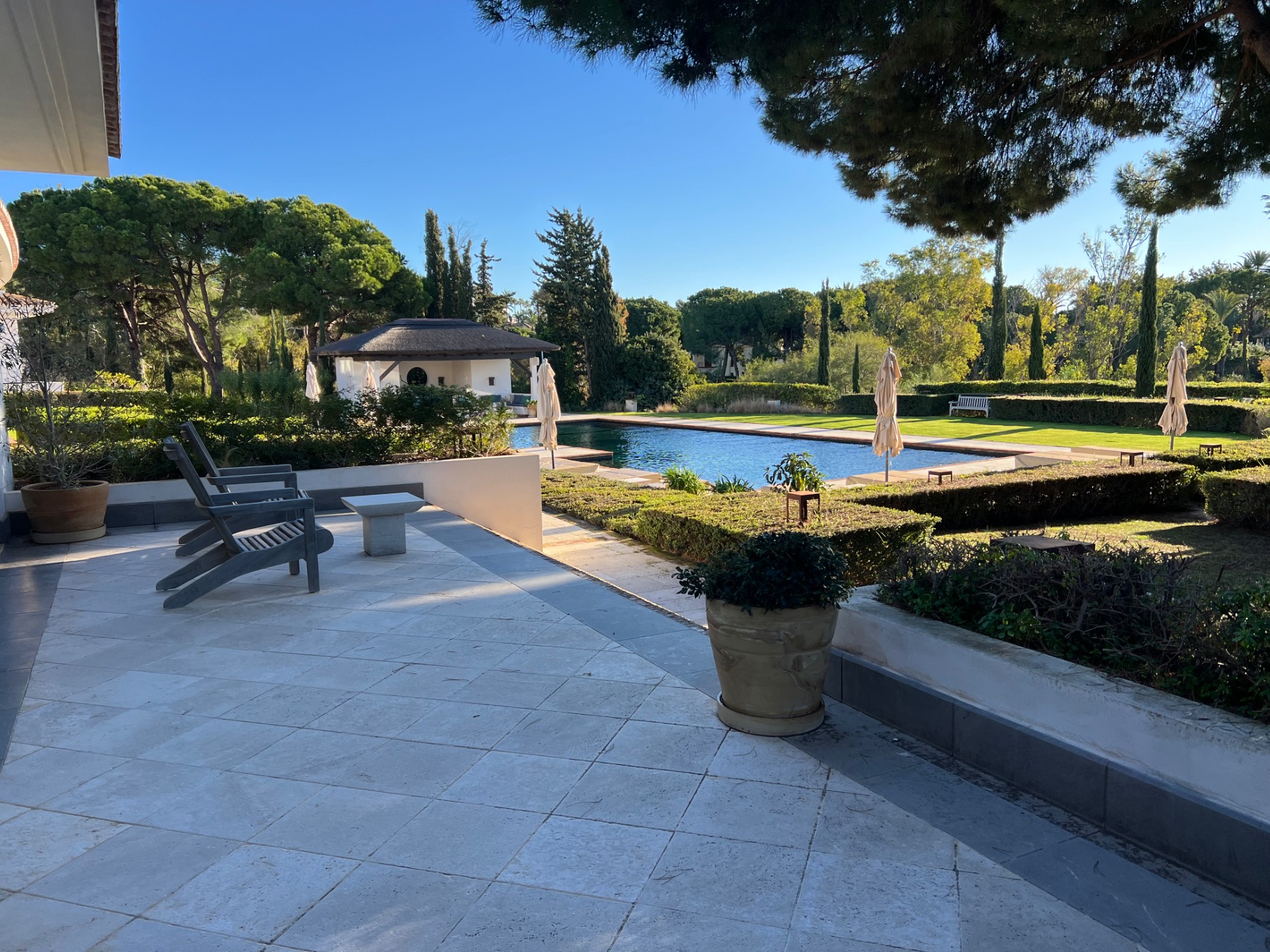 IMG_3204.jpeg IMG_3204.jpeg