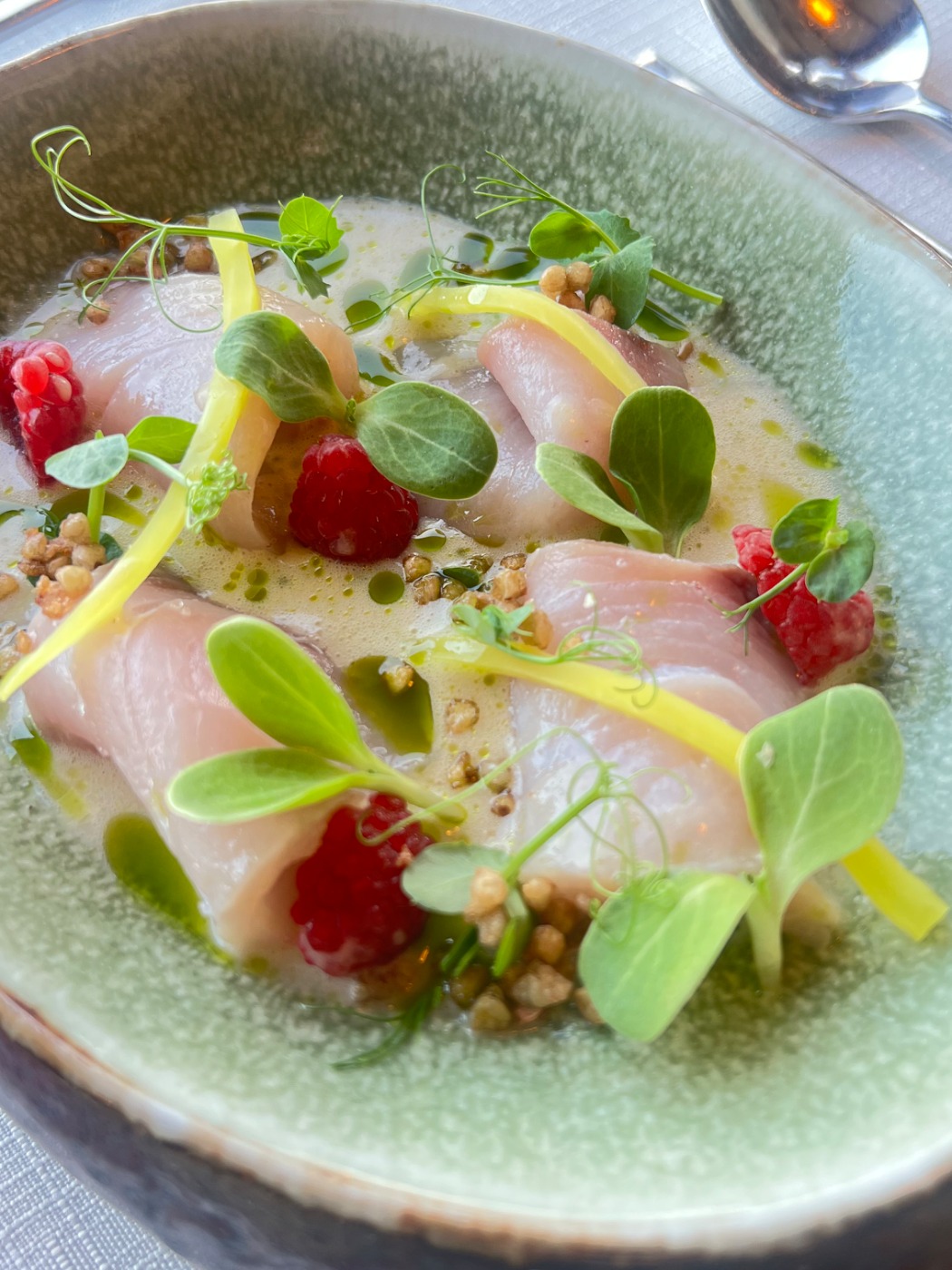 IMG_8552.jpeg IMG_8552.jpeg