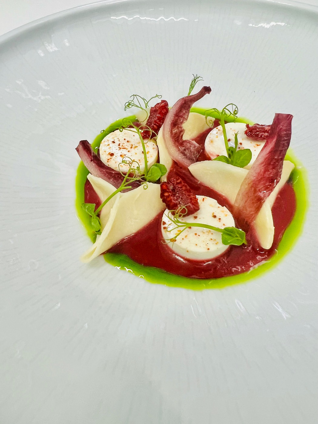 IMG_5894.jpeg IMG_5894.jpeg