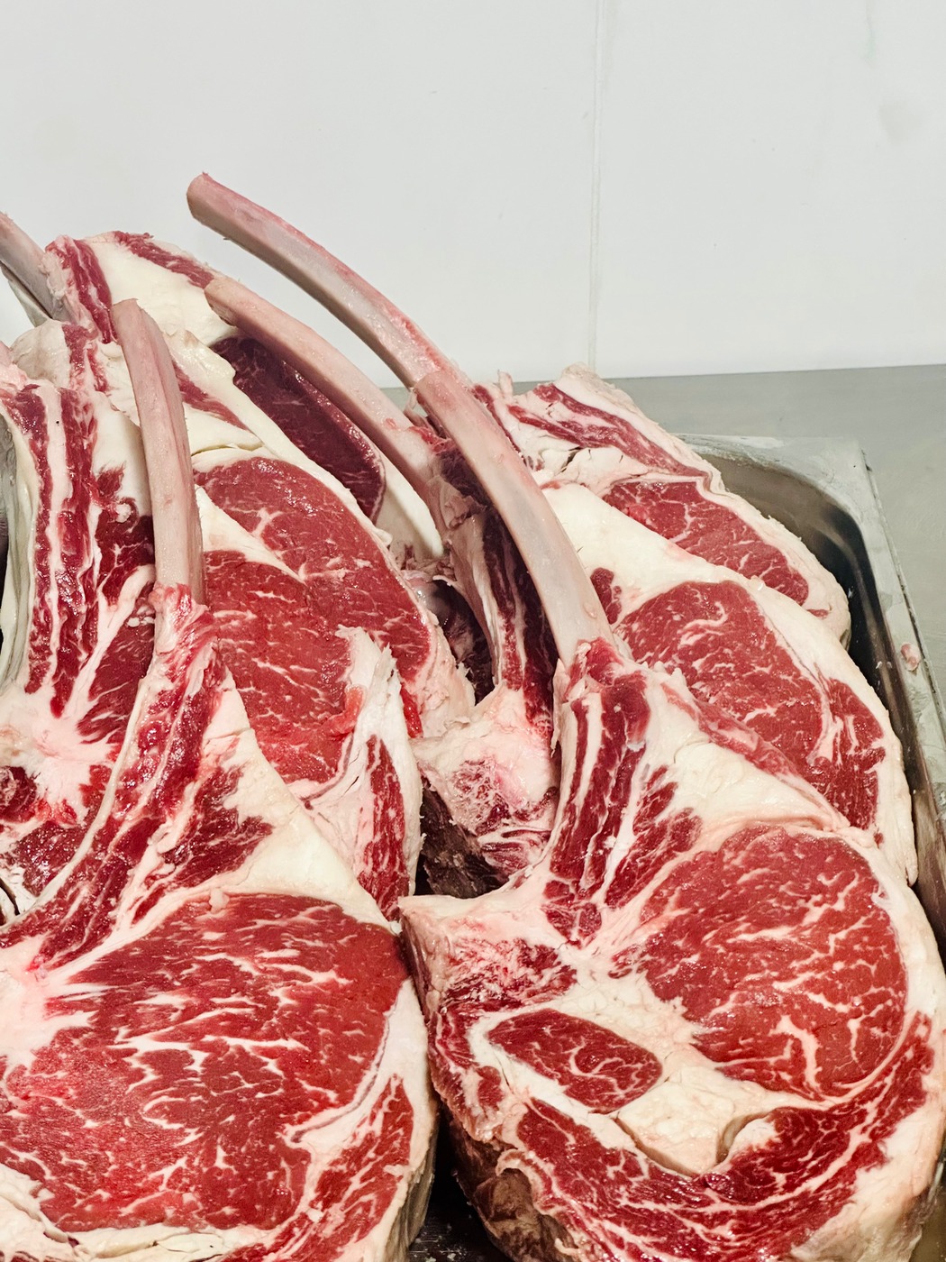 IMG_7673.jpeg IMG_7673.jpeg