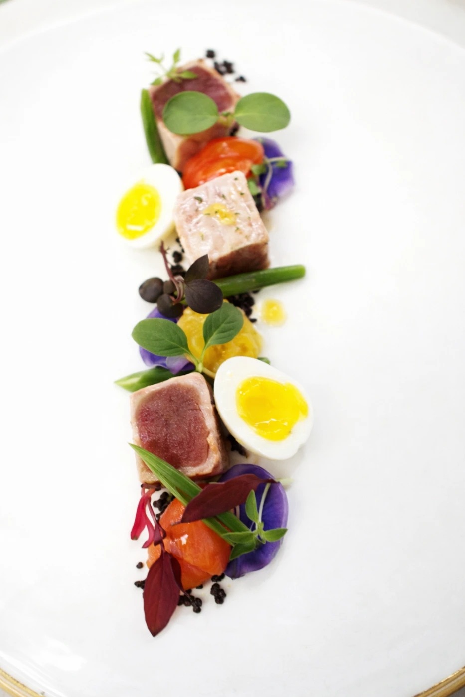 ChatGPT Image Jan 26, 2026, 05_50_33 AM.png