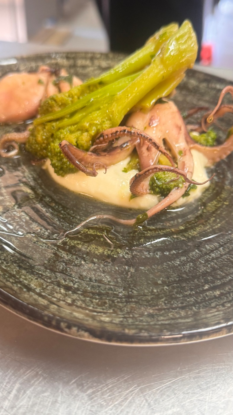 IMG_8558.jpeg IMG_8558.jpeg