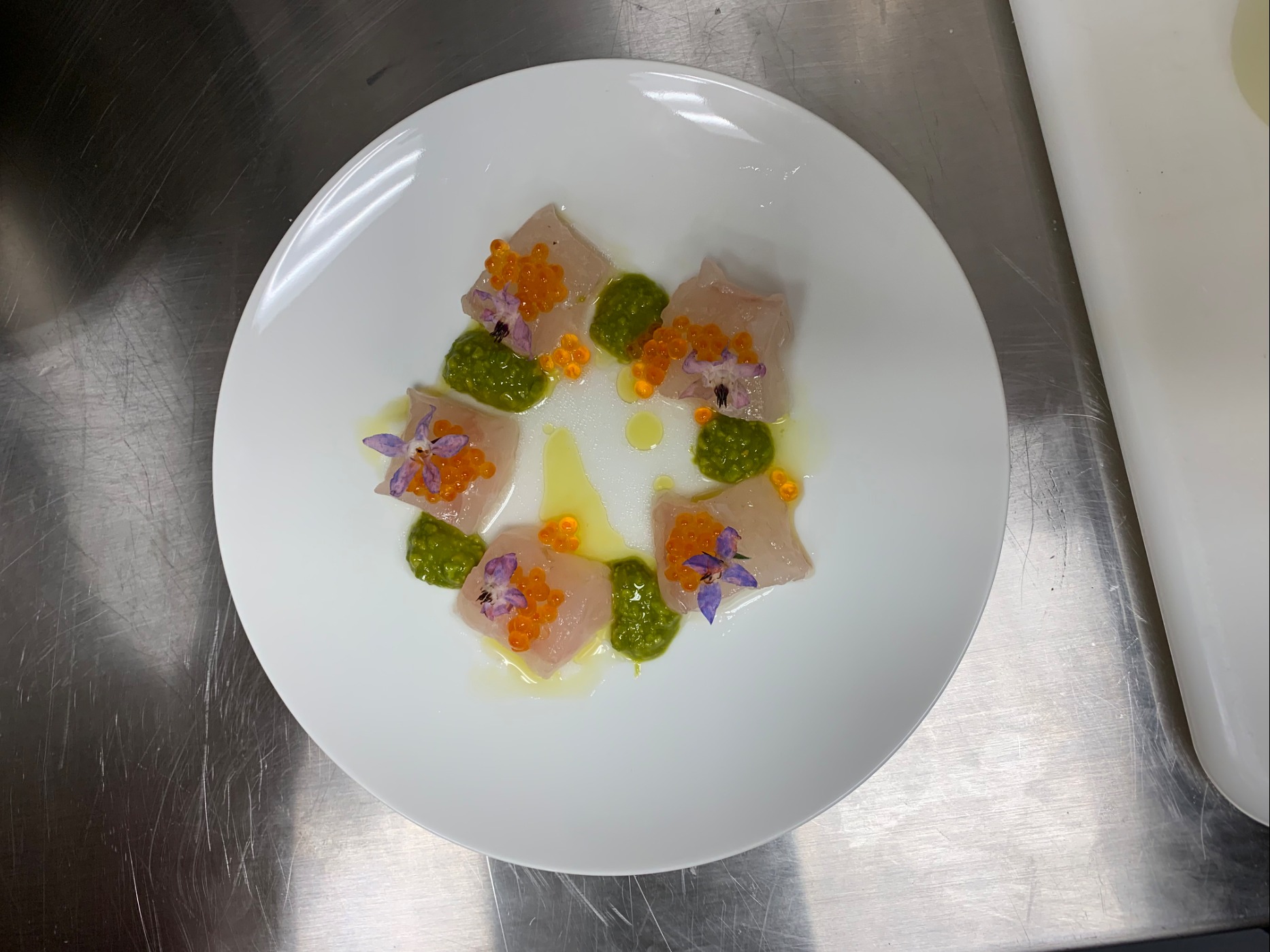 IMG_0242.jpeg IMG_0242.jpeg