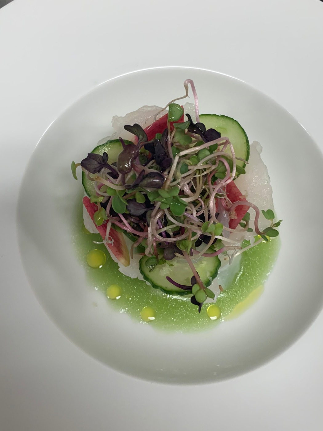 IMG_0272.jpeg IMG_0272.jpeg