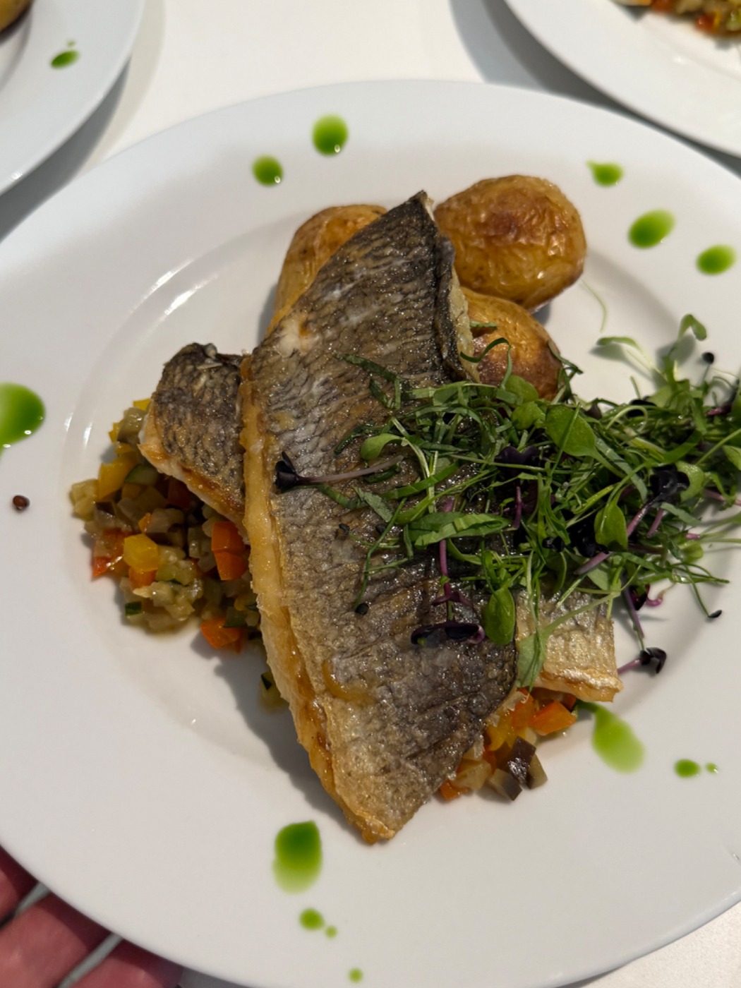 IMG_3187.jpeg IMG_3187.jpeg