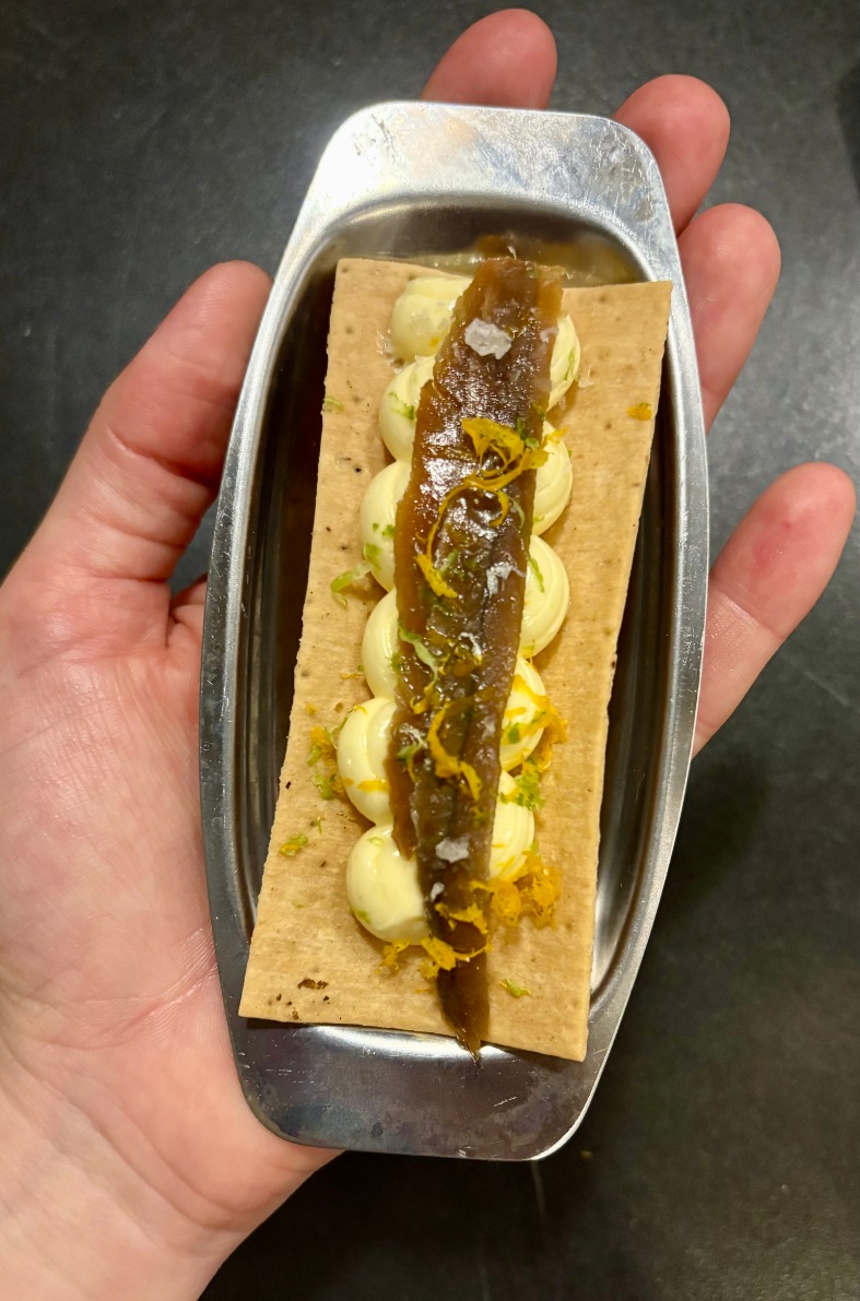 IMG_9075.jpeg IMG_9075.jpeg