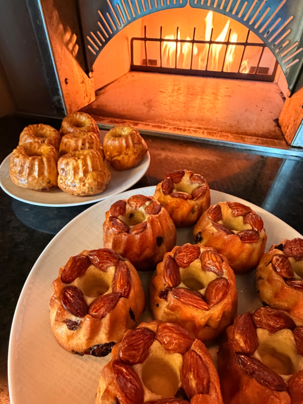 IMG_1694.jpeg IMG_1694.jpeg