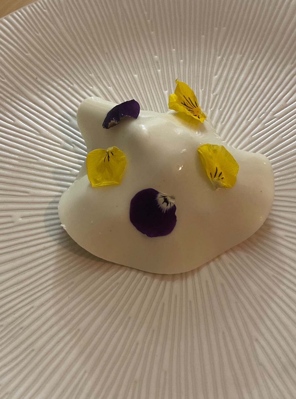 IMG_8715.jpeg IMG_8715.jpeg