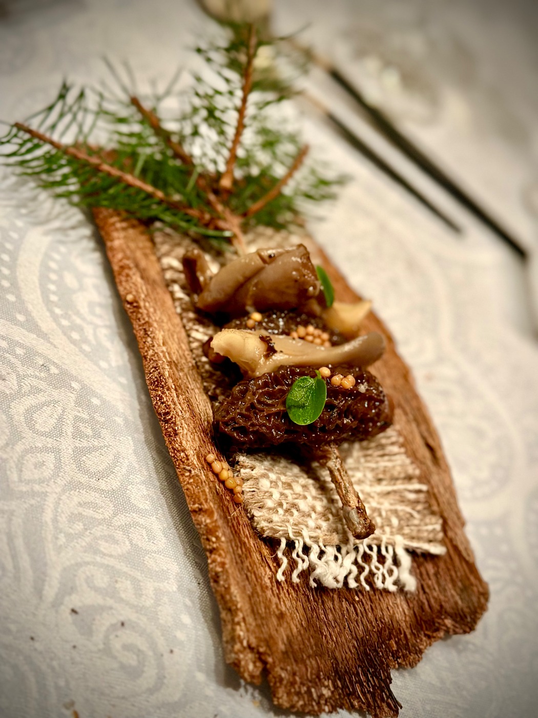 IMG_0355.jpeg IMG_0355.jpeg