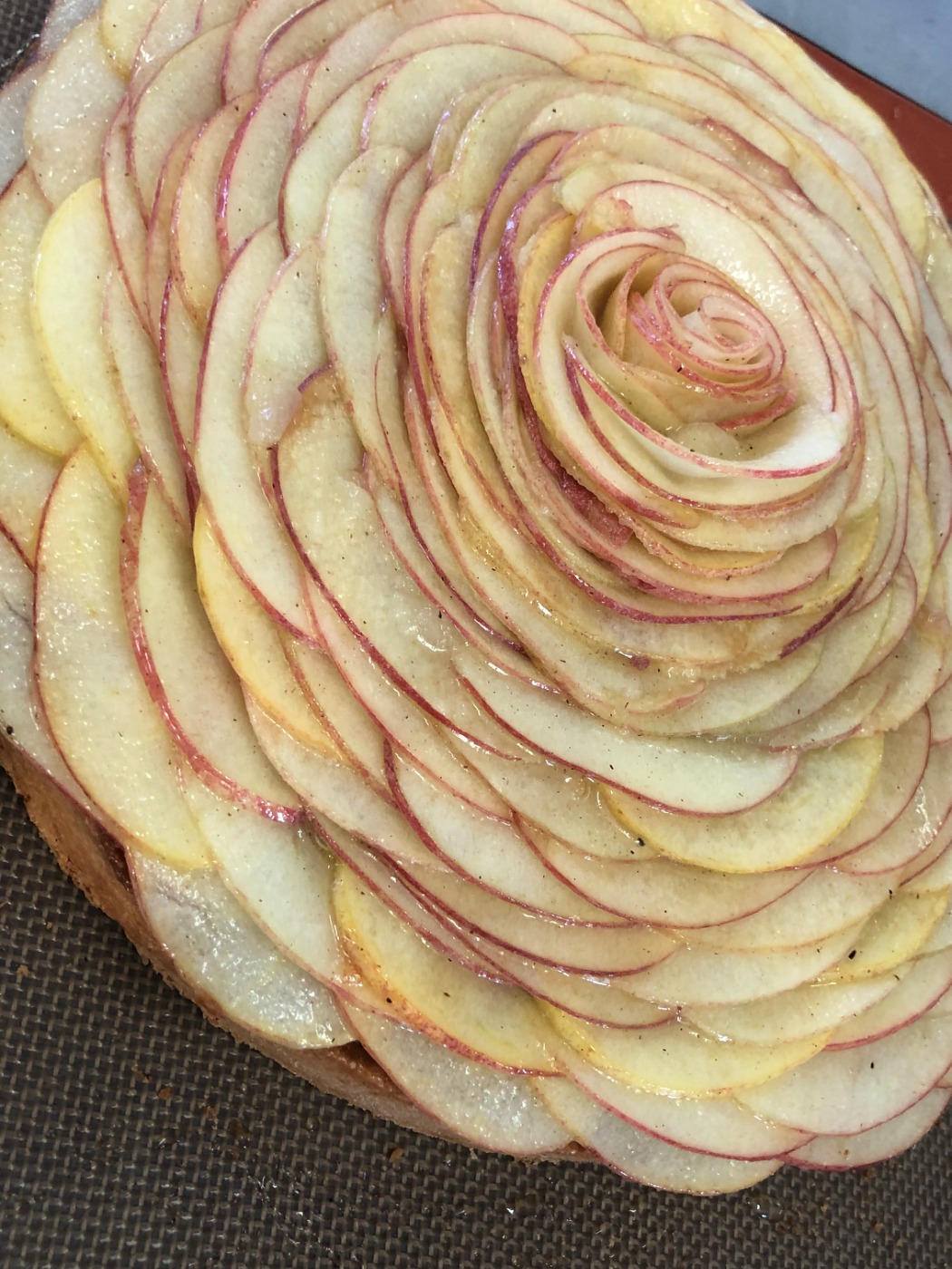 IMG_3786.jpeg IMG_3786.jpeg