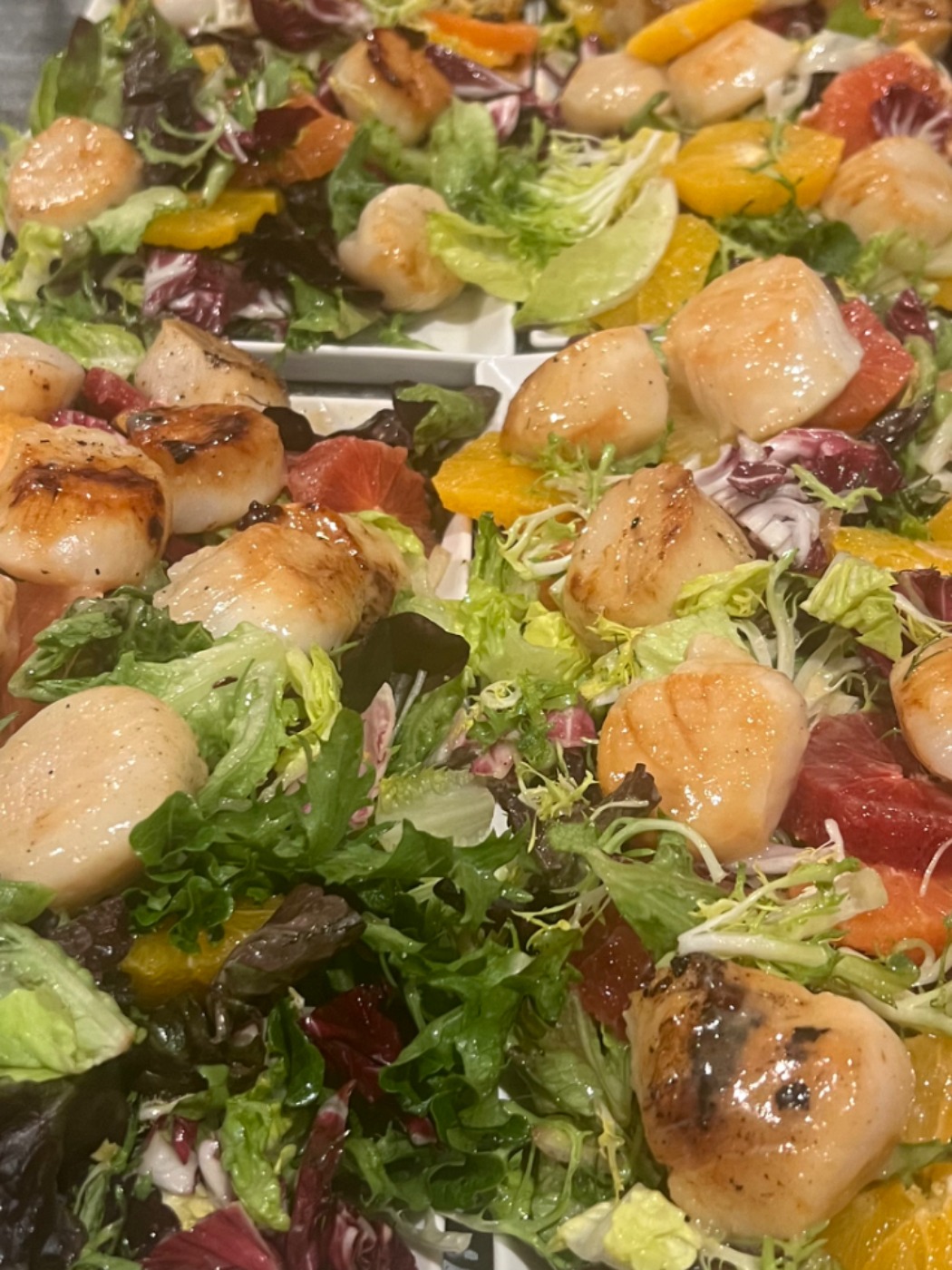 IMG_3650.jpeg IMG_3650.jpeg