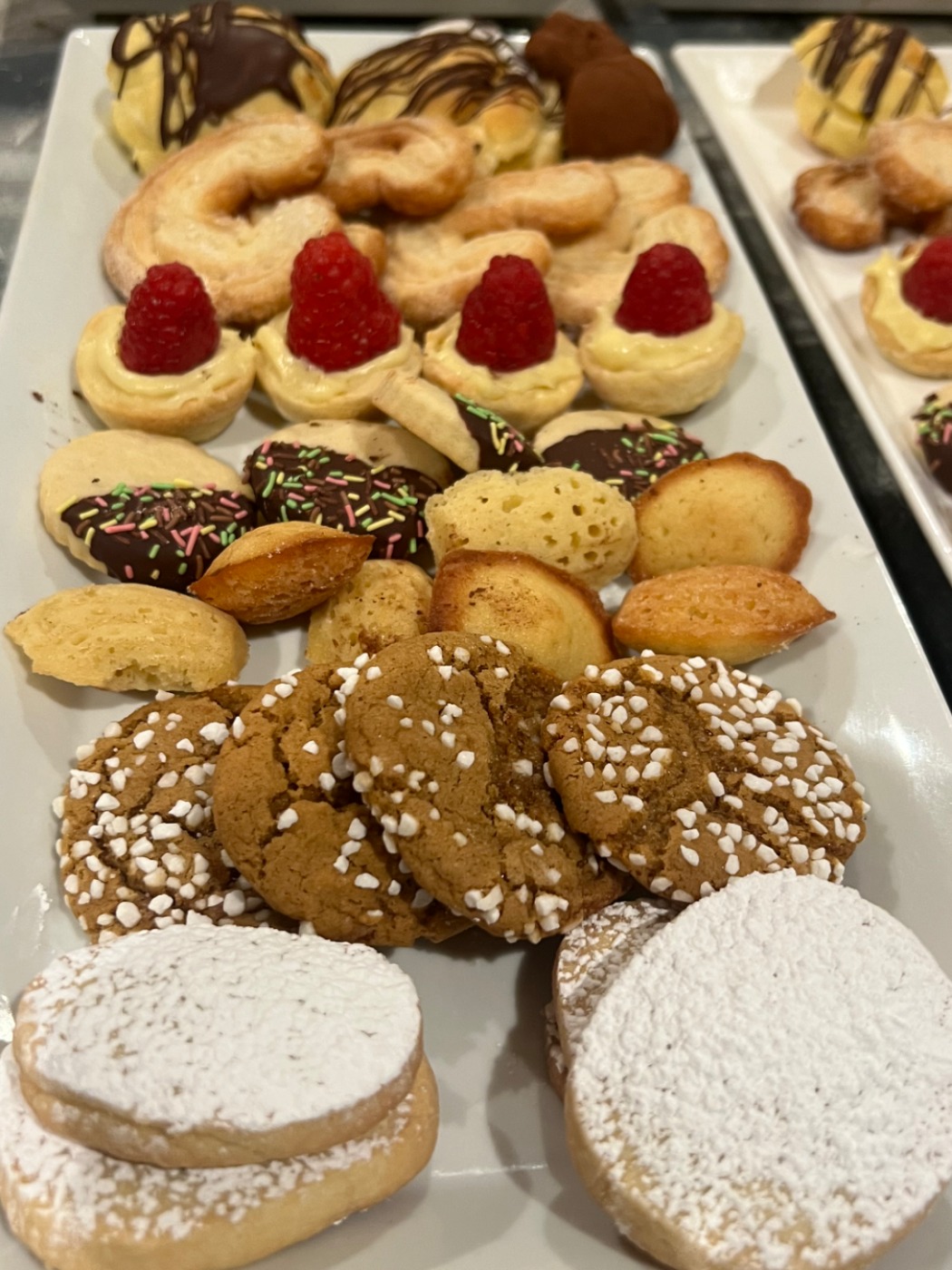 IMG_3653.jpeg IMG_3653.jpeg