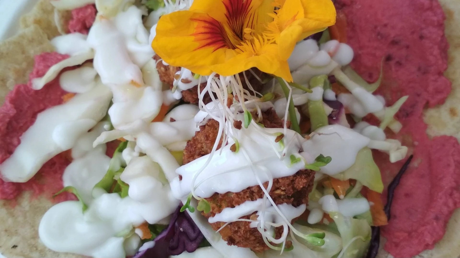 Secrets of Italy (vegan&organic)