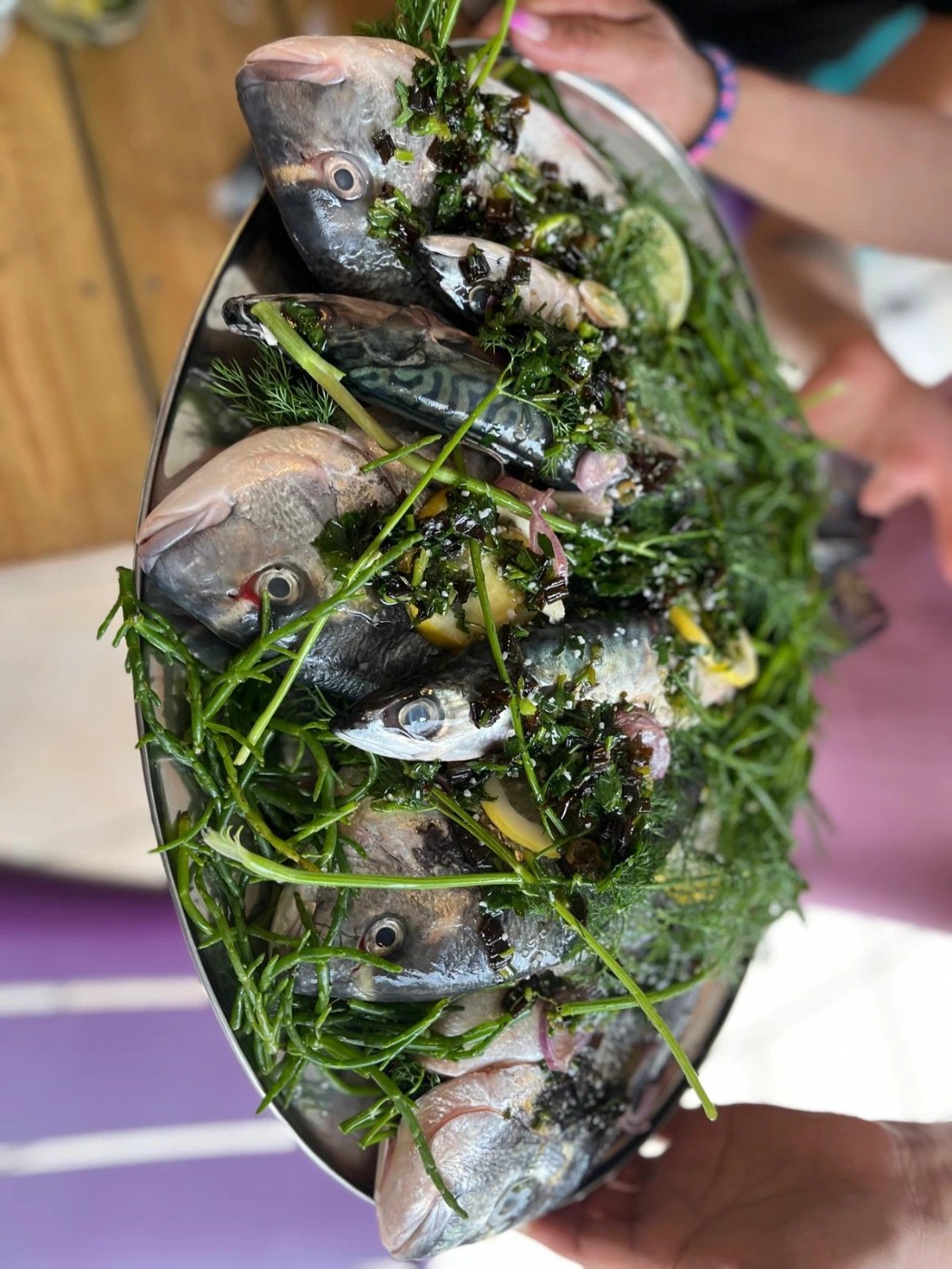 WhatsApp Image 2026-01-25 at 14.36.26.jpeg