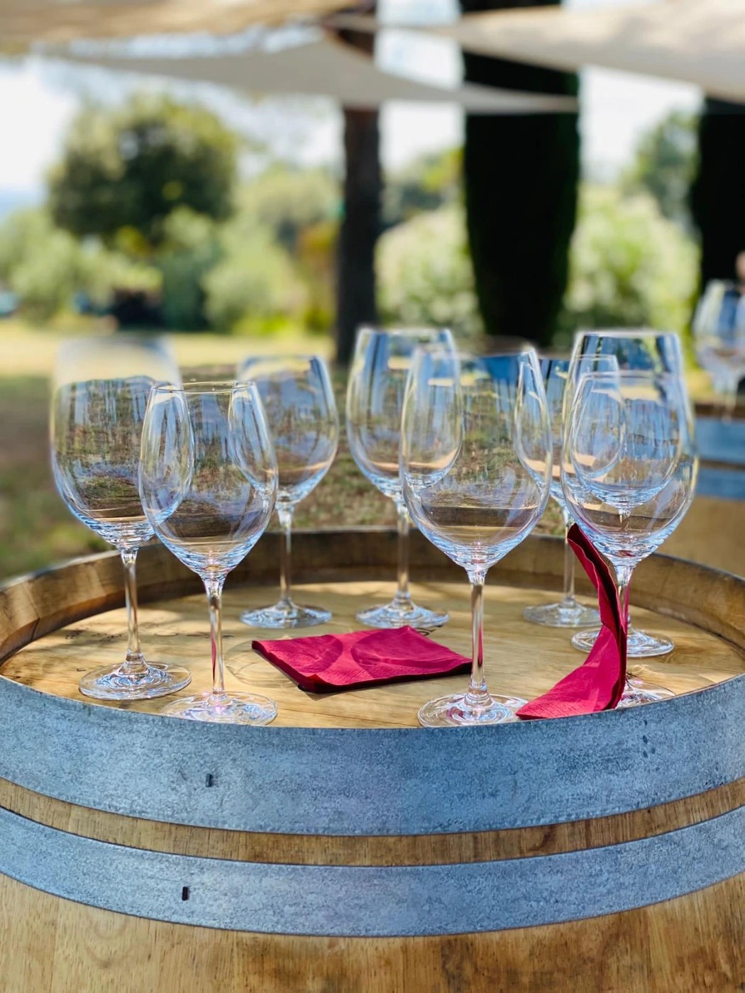 WhatsApp Image 2026-01-25 at 14.47.38.jpeg