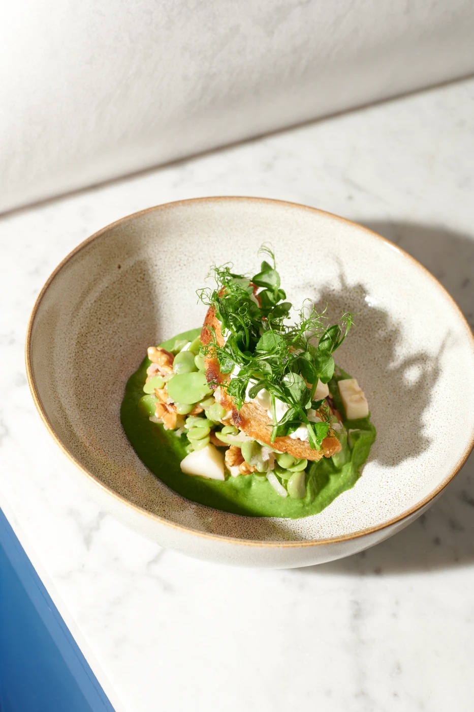 Salade de fèves.Pierre.Lucet.Penato (1).jpg