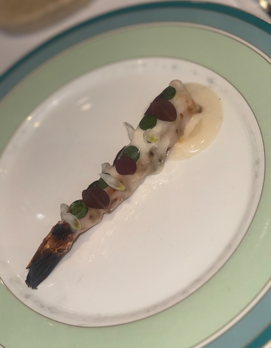 IMG_5992.jpeg IMG_5992.jpeg