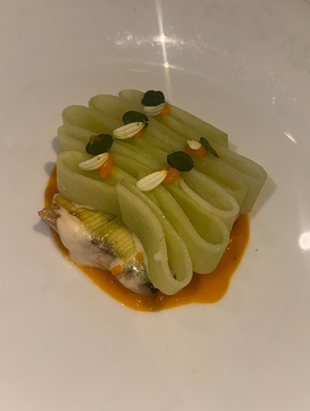 IMG_5993.jpeg IMG_5993.jpeg