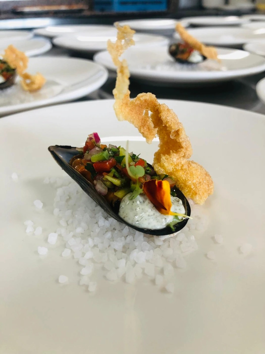 WhatsApp Image 2026-01-26 at 16.20.35 (3).jpeg