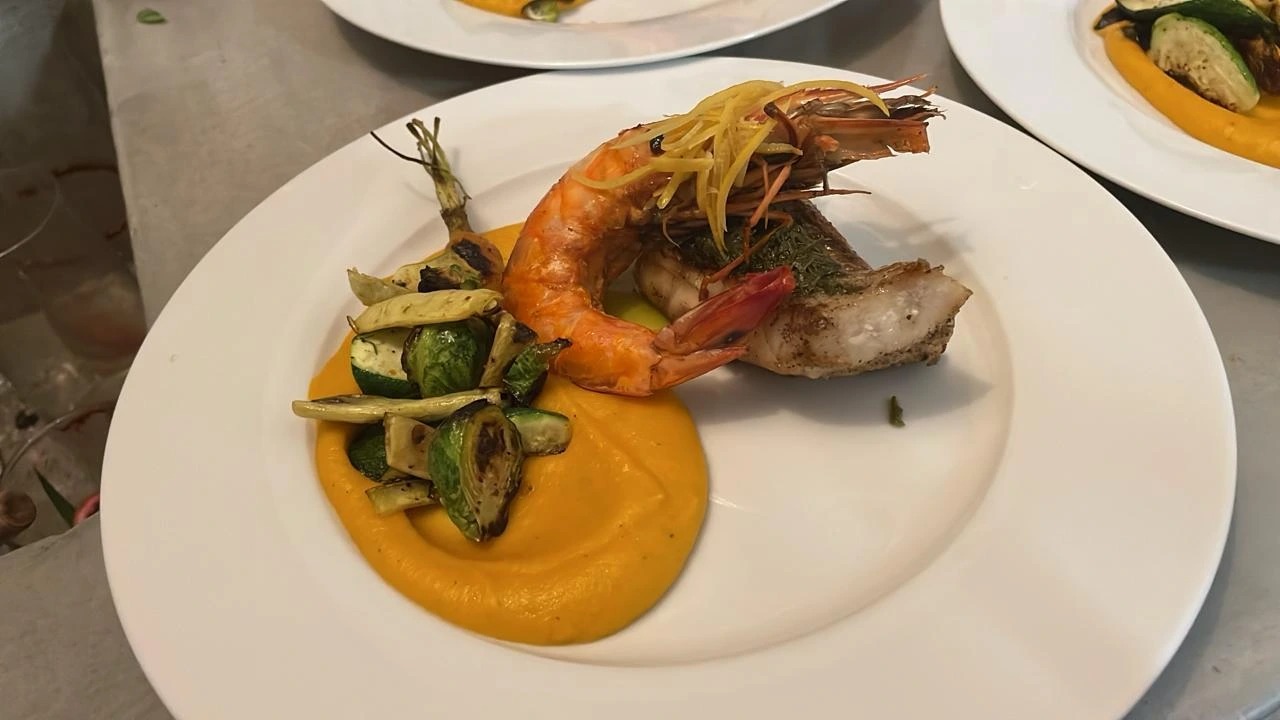 WhatsApp Image 2026-01-29 at 11.00.41 AM.jpeg