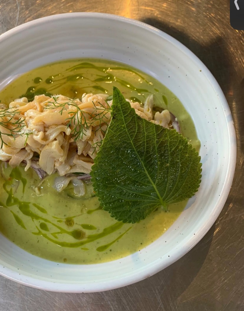 IMG_4020.jpeg IMG_4020.jpeg