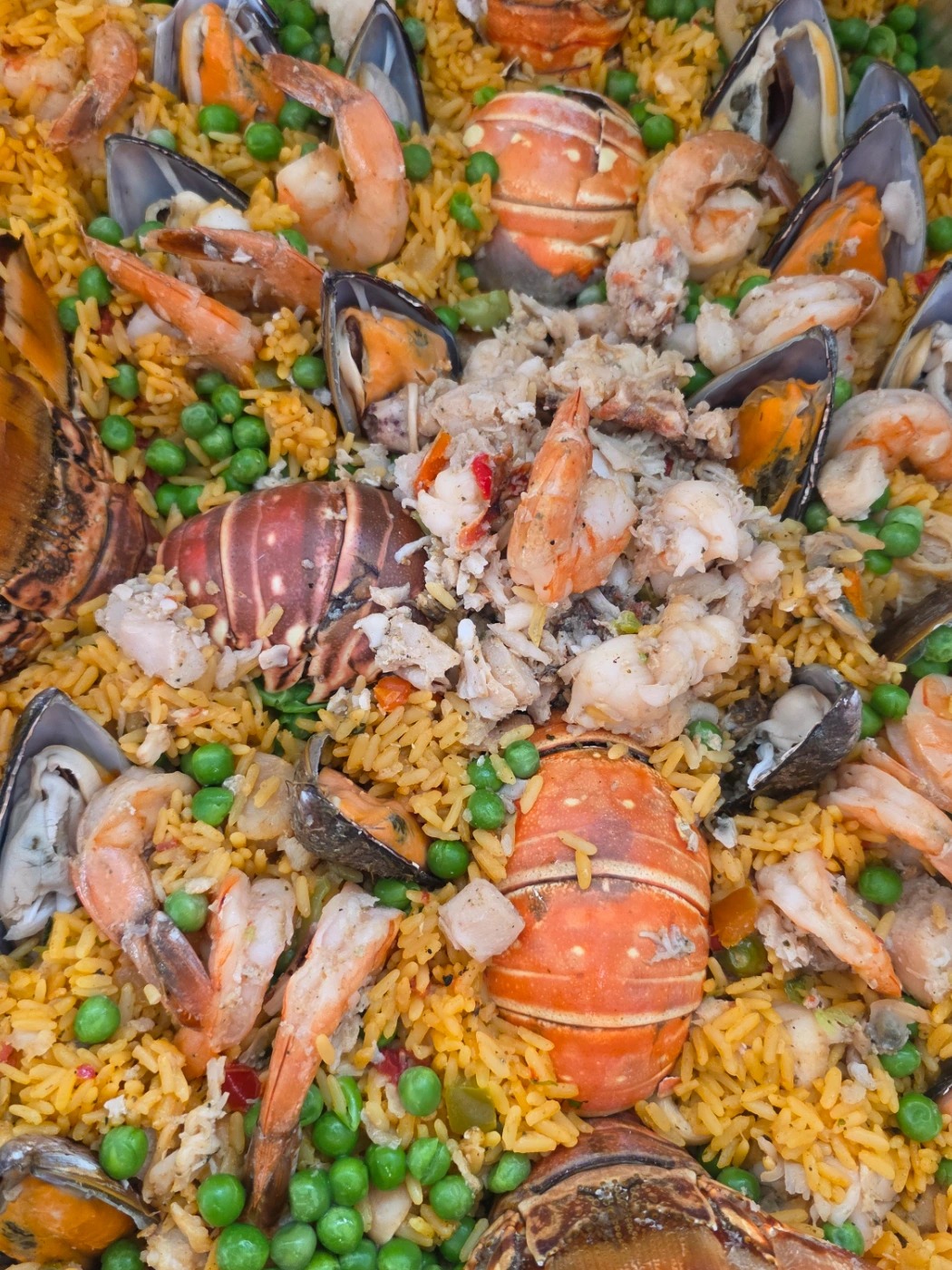 1000337065.jpg 1000337065.jpg