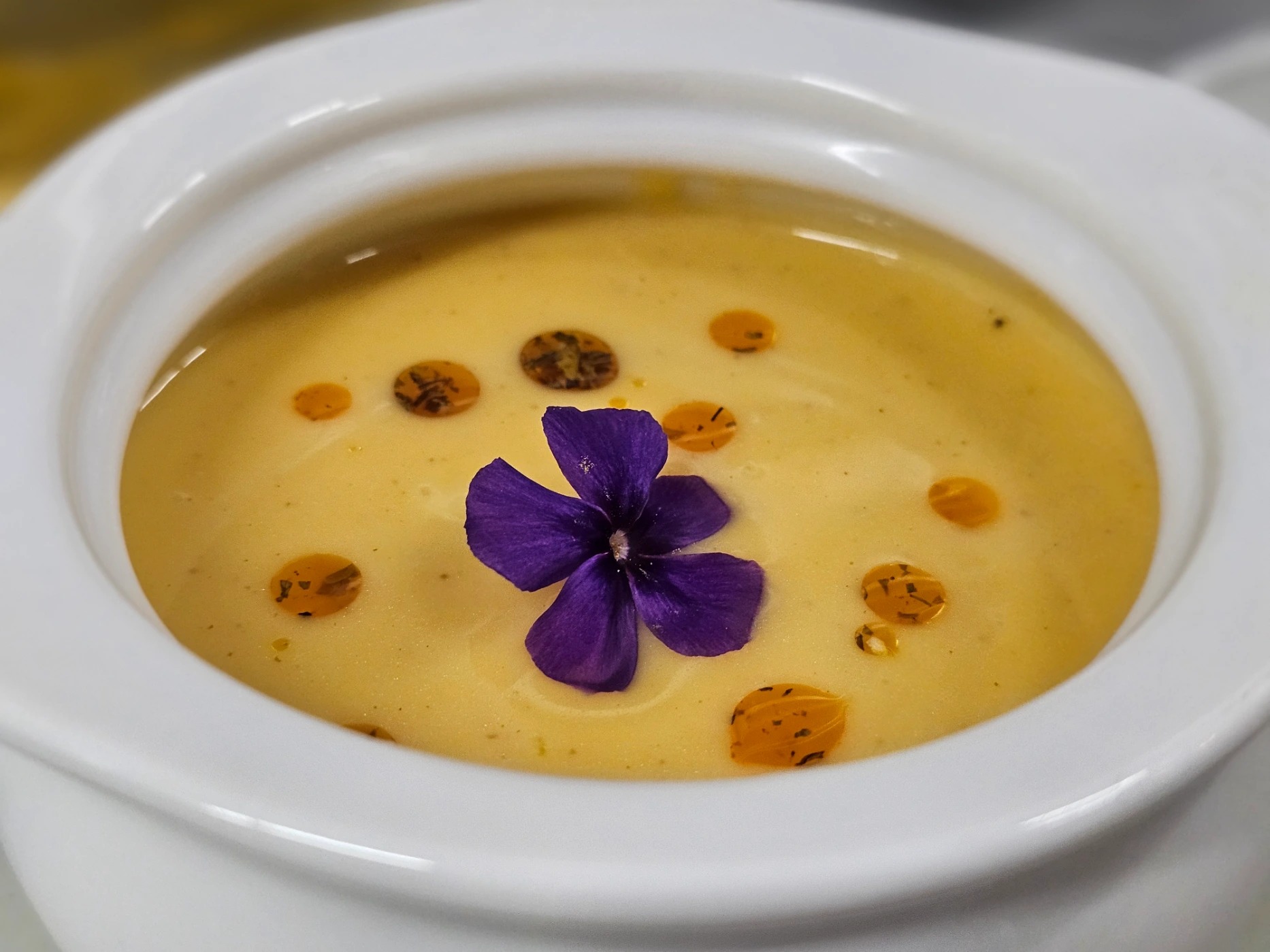 1000023798.jpg 1000023798.jpg