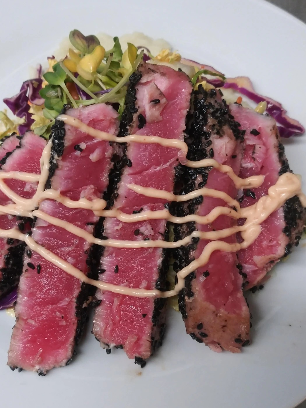 74d90843-8965-484c-9136-c89a0cd21bce-1_all_2116.jpg 74d90843-8965-484c-9136-c89a0cd21bce-1_all_2116.jpg